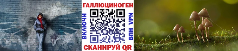 где продают наркотики Бузулук Псилоцибиновые грибы Psilocybine cubensis
